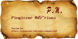 Pingiczer Máriusz névjegykártya